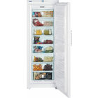 Морозильник-шкаф GNP 4156 Premium NoFrost фото