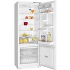 Холодильник ХМ 6020-031 фото