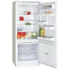 Холодильник DS 333020 фото