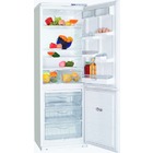 Холодильник ХМ-6019-031 фото