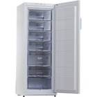 Морозильник-шкаф Ice Logic F 27SM-T10001 фото
