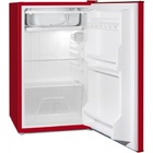 Холодильник RF1000 фото